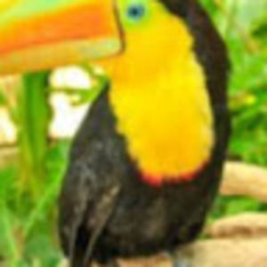 Meet your Posher, Just